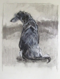 schets-deerhound